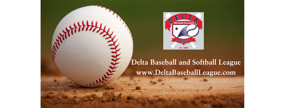 Welcome to Delta Baseball and Softball League