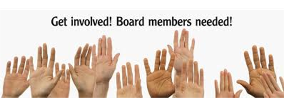 Board Nomination's and Voting